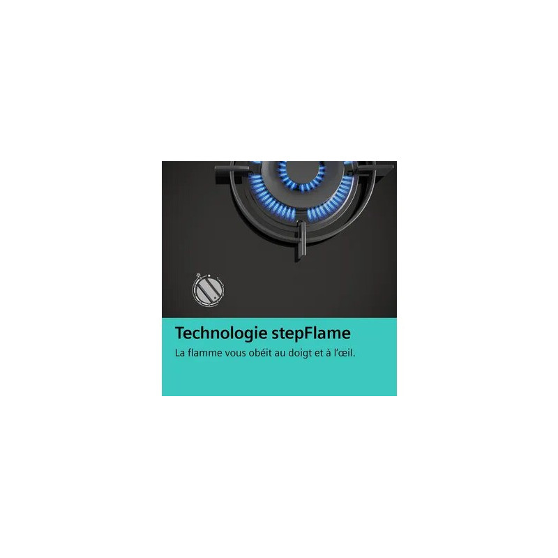 Plaque gaz SIEMENS EP7A6SB20 Ménachoc